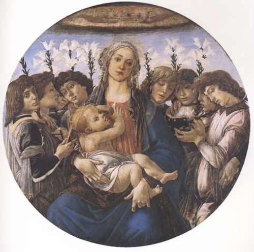 Sandro Botticelli Madonna and child with eight Angels or Raczinskj Tondo